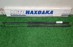Амортизатор багажника BMW X3 2003-2010 51243414711 E83 N52B25A, задний