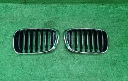 0000007427183 Решетка радиатора Комплект BMW X3 G01 (2017-2021)