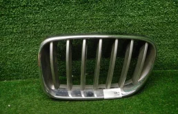 0000001665246 Решетка радиатора левая BMW X3 F25 (2010-2014)