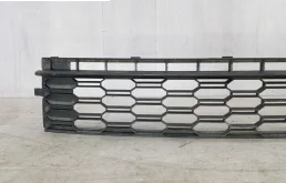 Решетка переднего бампера для Skoda Rapid 2019 года на фотографиях