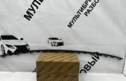 Молдинг бампера Volkswagen Polo 5 6RF853835, задний