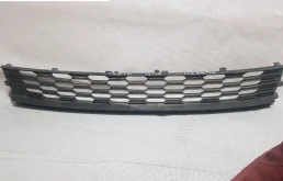 Решетка переднего бампера для Skoda Rapid 2019 года на фотографиях