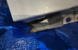 Крылья для Toyota Alphard 2005 года на фотографиях