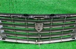 Решетка радиатора для Toyota Alphard на фотографиях