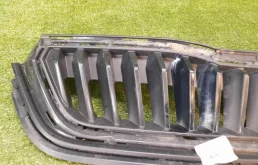 Решетка радиатора для Skoda Rapid 2021 года на фотографиях