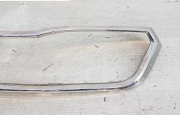 Молдинг решетки радиатора для Skoda Rapid на фотографиях