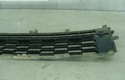 Решетка переднего бампера для Skoda Rapid 2019 года на фотографиях