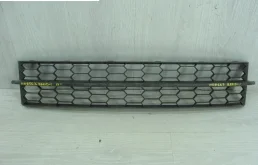 Решетка переднего бампера для Skoda Rapid 2019 года на фотографиях