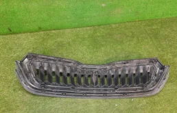 Решетка радиатора для Skoda Rapid 2021 года на фотографиях