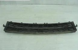 Решетка переднего бампера для Skoda Rapid 2019 года на фотографиях