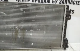 Радиатор охлаждения ДВС для Skoda Rapid 2019 года на фотографиях