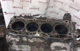 Двигатель без навесного для Kia Carnival 2007 года на фотографиях