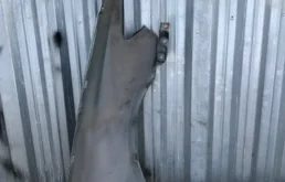 Крыло левое для Honda Accord на фотографиях