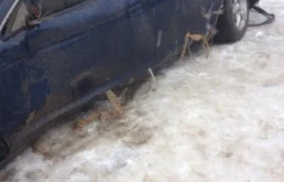 Jaguar S Type 4.0 (286Hp) (AJ26) RWD AT в разборе у Агрегат