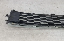 Решетка переднего бампера для Skoda Rapid 2019 года на фотографиях