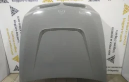 капот (41617486754) для BMW X6 Е71 rest 2012-2014