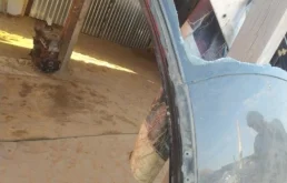 Крыша для Renault Logan 2022 года на фотографиях