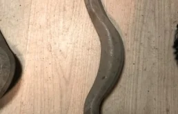 рычаг правый  a2133302200 для Mercedes-Benz E class W213 2016-2023