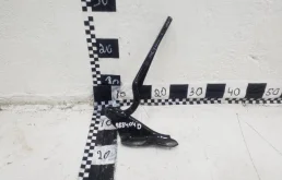 Петля капота левая для Skoda Rapid 2025 года на фотографиях