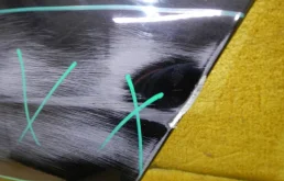 Дверь задняя левая для BMW 5er 2020 года на фотографиях