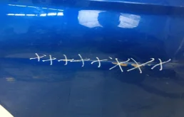 Дверь задняя правая для Hyundai Elantra 2015 года на фотографиях