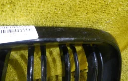 Решетка радиатора левая для BMW X6 на фотографиях