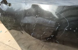 Дверь задняя правая для Nissan Almera на фотографиях