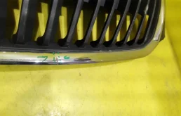 Решетка переднего бампера для Skoda Rapid 2015 года на фотографиях