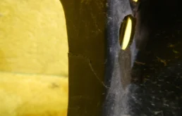 Панель радиатора (телевизор) для Volkswagen Golf 2011 года на фотографиях