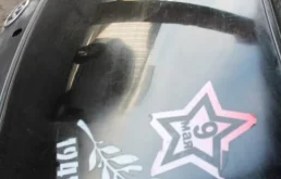 Крышка багажника для Toyota Ipsum на фотографиях