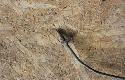 Датчик ABS задний правый для Subaru Forester на фотографиях