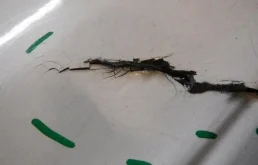 Бампер задний для Honda Accord 2010 года на фотографиях