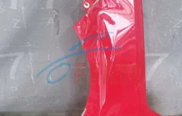 Крыло левое для Skoda Rapid 2016 года на фотографиях