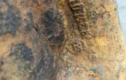 Редуктор заднего моста для Mercedes-Benz Vito 2008 года на фотографиях