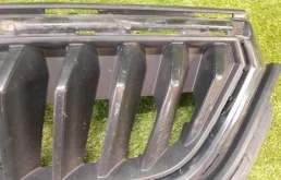 Решетка радиатора для Skoda Rapid 2021 года на фотографиях