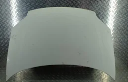 Капот для Citroen Berlingo 2005 года на фотографиях