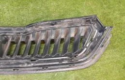 Решетка радиатора для Skoda Rapid 2021 года на фотографиях