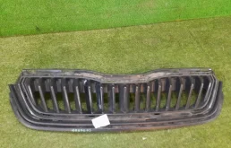 Решетка радиатора для Skoda Rapid 2021 года на фотографиях