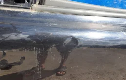 Дверь передняя левая для Volvo C30 2010 года на фотографиях