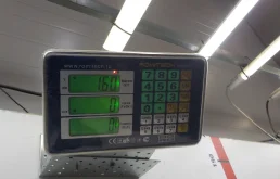 Крыло левое для Audi Q5 2022 года на фотографиях