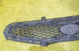 Решетка радиатора для Kia Picanto на фотографиях