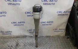 Пневмостойка задняя левая для Mercedes-Benz S class на фотографиях