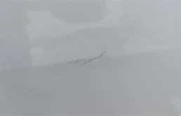 Дверь передняя правая для Opel Insignia 2015 года на фотографиях