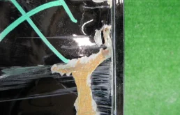 Двери для Toyota Alphard 2017 года на фотографиях