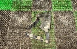 Датчик положения кузова задний для Lexus IS Кабриолет 250C 2008-2013