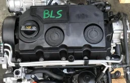 BLS
