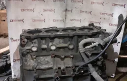 Двигатель без навесного для Kia Carnival 2007 года на фотографиях