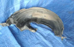 Подкрылок задний правый для Subaru Forester на фотографиях