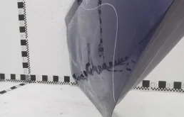 Дверь задняя левая для Hyundai Elantra 2024 года на фотографиях