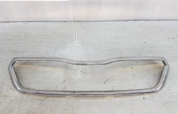 Молдинг решетки радиатора для Skoda Rapid на фотографиях